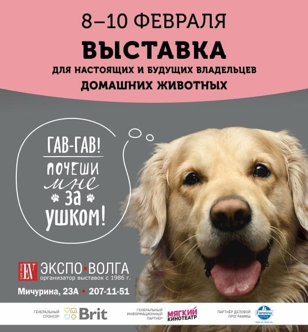 Выставка домашних животных - Фрагмент 1